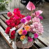 Photo of Flower basket «Purple Dragon»