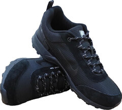 Трекинговые кроссовки мужские Nike Pegasus Trail GTE Run Black A 2739-5.