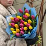 Photo of Mix of 27 bright tulips «Colorful Miracle»