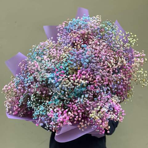 25 гілок кольорової гіпсофіли - букет «Райдужна гіпсофіла», Квіти: Гіпсофіла, у букеті на фото - 25 гілок