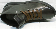 Кожаные мужские ботинки кроссовки весна осень Ikoc 1770-5 B-Brown.