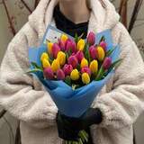 Photo of Mix of 27 bright tulips «Colorful Miracle»