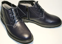Короткие ботинки мужские зимние кожаные классические. Теплые ботинки  с мехом Broni BlueLeather.
