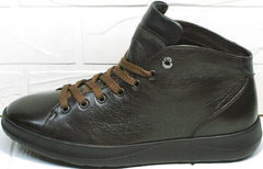 Осенние мужские кроссовки сникерсы кожа Ikoc 1770-5 B-Brown.