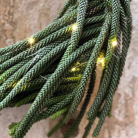 Photo of Stylish Christmas wreath «Holiday Pangolin»