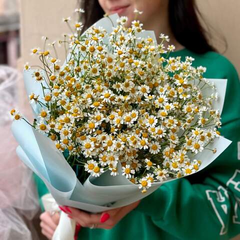 Photo of 15 tanacetum branches in a bouquet «Chamomile Sun»