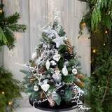 Photo of Christmas tree «Stylish Santa»
