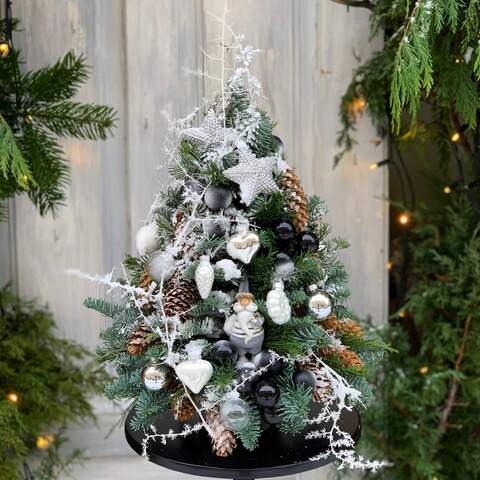 Christmas tree «Stylish Santa», Flowers: Nobilis, Asparagus