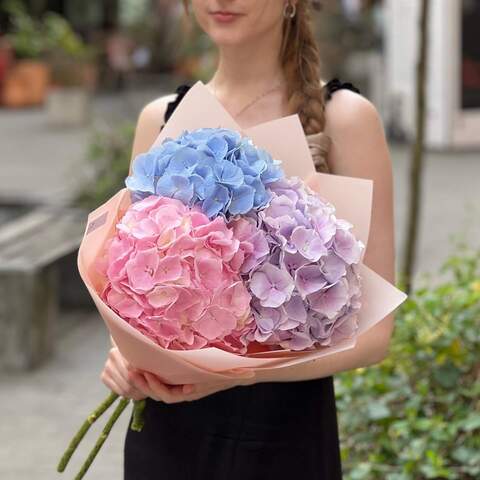 3 delicate hydrangeas in a bouquet «Pastel Morning», Flowers: Hydrangea, 3 pcs.