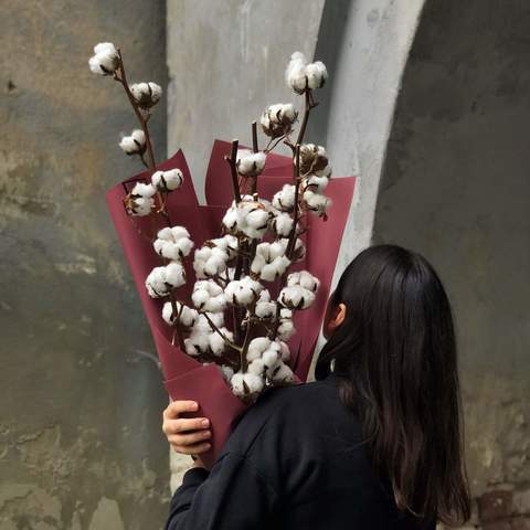 Bouquet of cotton