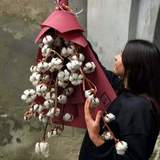 Photo of Bouquet of cotton
