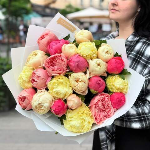 Bouquet of multicolored exclusive peonies «Colored offer», Flowers: Paeonia, 25 pcs.