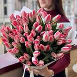 Photo of Exquisite two-tone classic tulips in a bouquet «Spring Touch»