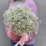 Photo of 19 branches in a Flower box of white gypsophila «Angels Smile»