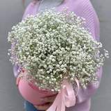 Photo of 19 branches in a Flower box of white gypsophila «Angels Smile»