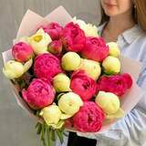 Photo of Mix of 21 peonies in a bouquet «Coral Samba»
