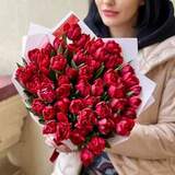 Photo of 51 red peony-shaped tulips in a bouquet «Bright candies»