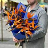 Photo of 15 strelitzias in a bouquet «Exotic bird»