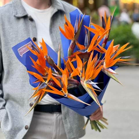 Photo of 15 strelitzias in a bouquet «Exotic bird»
