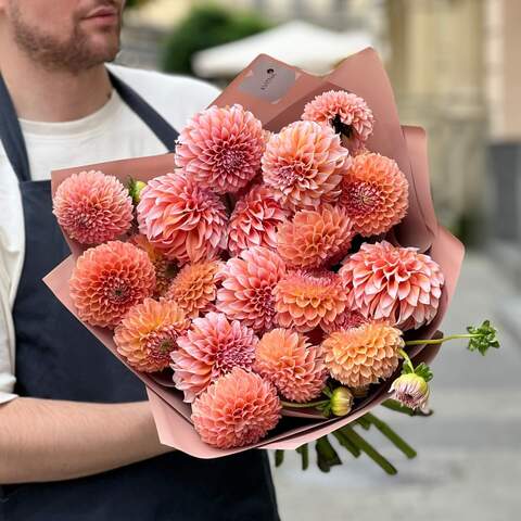 Mix of 25 orange and peachy dahlias «Caramel Peach», Flowers: Dahlia, 25 pcs.