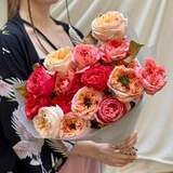 Photo of Bright mix of peony roses «Sugary Mix»