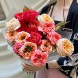 Photo of Bright mix of peony roses «Sugary Mix»