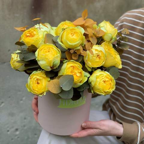 Коробочка з трояндами «Catalina», Жовті піоновмдні троянди «Каталіна» в шляпной коробці