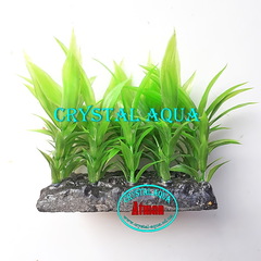 Растение Атман PP-062C, 10см