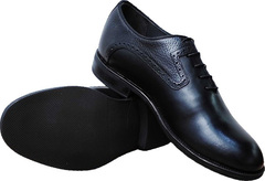 Классические мужские туфли кожаные Luciano Bellini F2201 Black Leather.