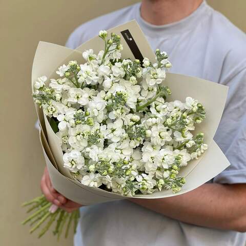 19 matthiolas in a bouquet «White aroma», Flowers: Matthiola