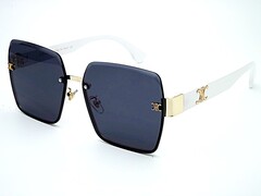 cel 9175 c2