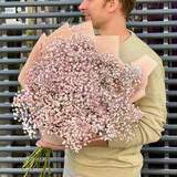 Photo of 19 branches of gypsophila in a bouquet «Pink galaxy»