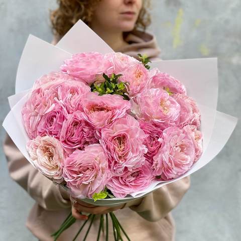 Photo of 21 Gentle Ranunculus «Romance Maillane»
