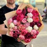 Photo of 35 peonies in a bouquet «Berry Gelato»