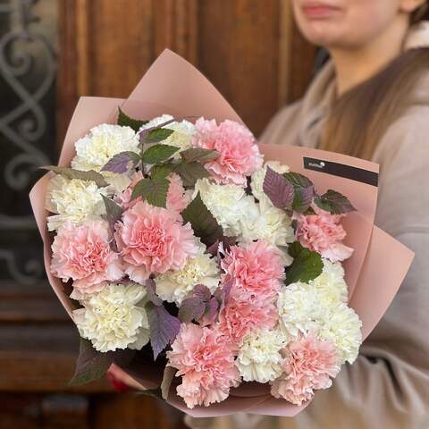 21 dianthus in a bouquet «Gentle Mist», Flowers: Dianthus, 21 pcs.