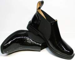 Стильные ботинки ботильоны женские на низком каблуке Ari Andano 721-2 Black Snake.