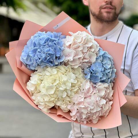 5 hydrangeas in a cloud «Watercolor cloud», Flowers: Hydrangea, 5 pcs.