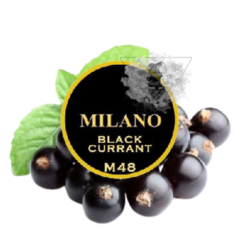 Табак Milano M48 Black Currant (Милано Черная Смородина) 100г