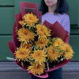 Photo of Chrysanthemum «Cruella»