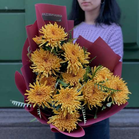 Chrysanthemum «Cruella», Flowers: Chrysanthemum, Grevillea