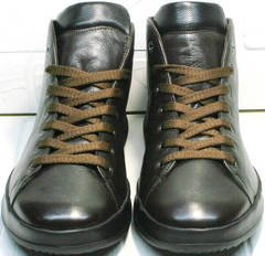 Мужские осенние кеды ботинки со шнуровкой Ikoc 1770-5 B-Brown.