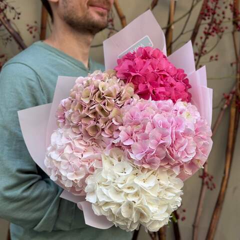 5 delicate hydrangeas in a bouquet «Pink Ombre», Flowers: Hydrangea, 5 pcs.