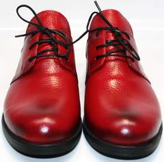 Кожаные туфли Marani Magli 847-92