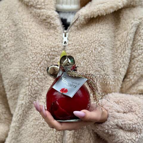 Photo of Waxed Christmas amaryllis bulb with bells «Christmas Jingle»