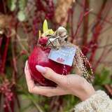 Photo of Waxed Christmas amaryllis bulb with bells «Christmas Jingle»