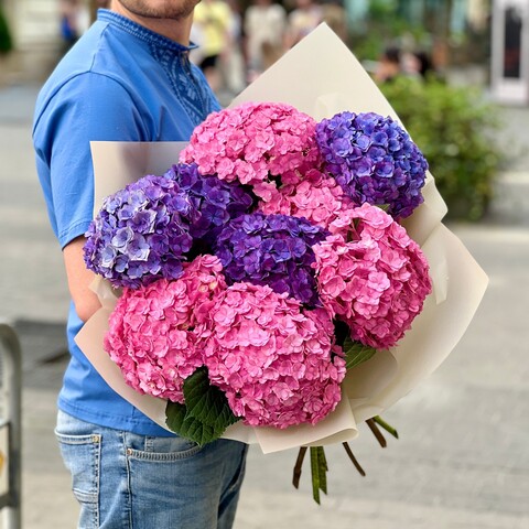 Huge bouquet of 9 hydrangeas «Blueberry sorbet», Flowers: Hydrangea, 9 pcs.