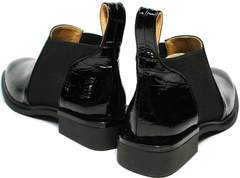 Туфли ботинки с квадратным носом женские Ari Andano 721-2 Black Snake.