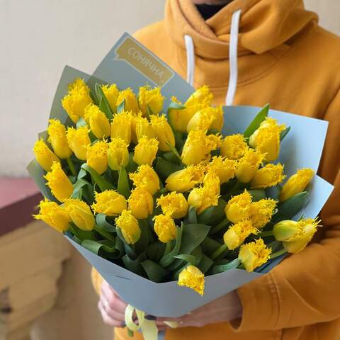51 жёлтый бахромчатый тюльпан, Цветы: Тюльпан