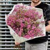 Photo of 25 chamelaucium sprigs in a bouquet «Spring singing»