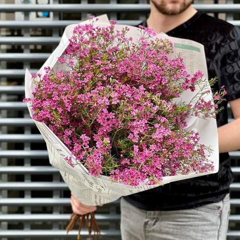 25 гілочок хамелаціуму у букеті «Весняний спів», Квіти: Хамелаціум